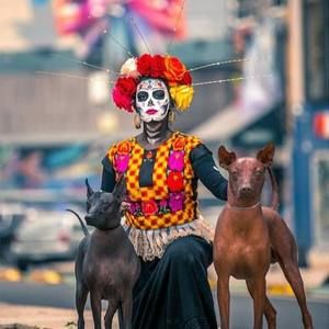 Meet your Posher, Lety